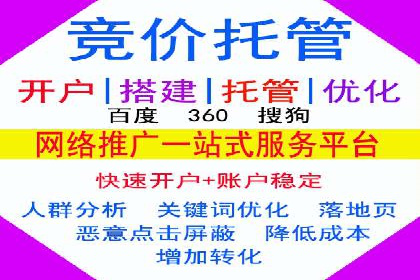 SEM托管服务，实战案例展示营销效果